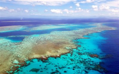 The Great Barrier Reef